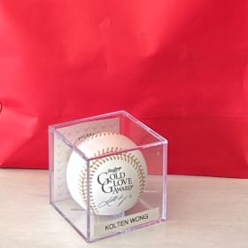 Lot #173 Donor: Steve & Kristie Baumgartner item