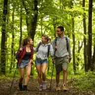 FOREST ECOLOGY & STEWARDSHIP item