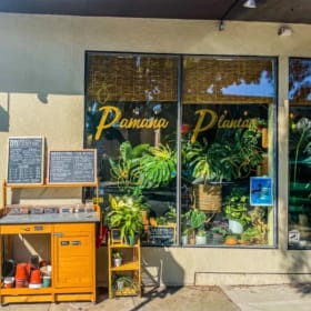 Kokedama from Pamana Plantas item