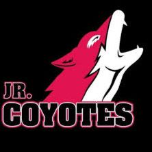 Junior Coyotes Basketball & Nikola Jokić Collectible Package item