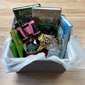 Spirit of Adventure item