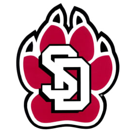 USD Yotes Fan Package item