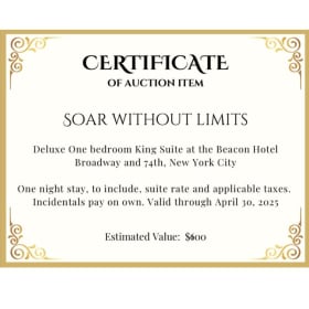 Overnight in NYC item