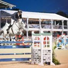 Devon Horse Show Box Seats item