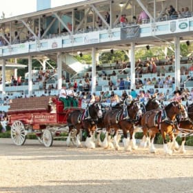 Devon Horse Show Box Seats item