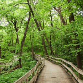 4. Arbor Day Farm Lied Lodge Gift Certificate item