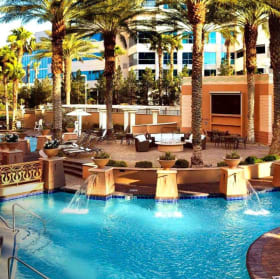 Las Vegas Lights item