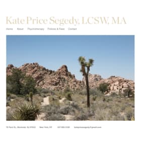 Therapy Session | Kate Price Segedy item