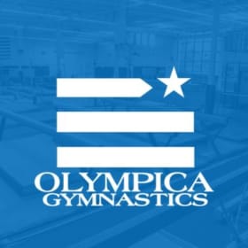 1 month of gymnastics classes item