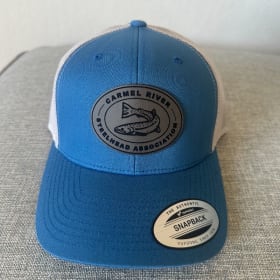 Trucker Hat- Blue item