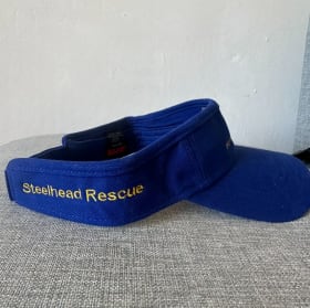 Visor item