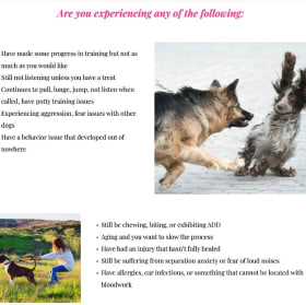 Animal Communication & Fascia Release course: Allecia Main item