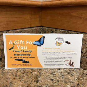 #38 Kids’ Family Field Trip Adventure item