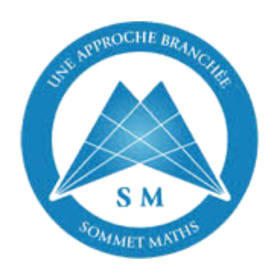 Abonnement d'un an à Sommet-Maths (#1) item