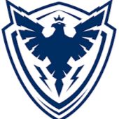 Espace corporatif de type galerie pour un match du Phoenix item