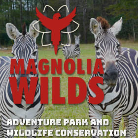 Magnolia Wilds Safari Tour & Wild Discovery for 4 Guests item