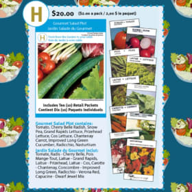 H) Gourmet Salad Plot item