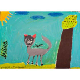 9 Cat named Musia item