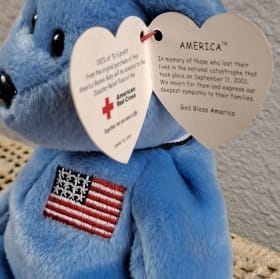 America Ty Beanie Baby item
