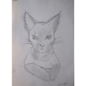 126 Serious Kitty item