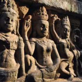 Denver Museum of Nature and Science Admission item