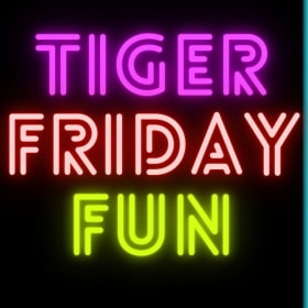 Tiger Family Fun Night Additional Bingo Card Purchase item