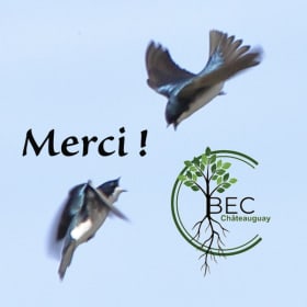 #194 - A direct donation without auction of $50 to BEC item