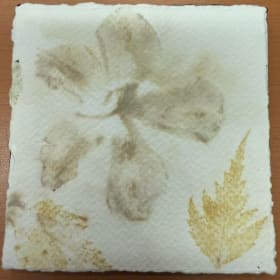 115. Nature's Beauty item