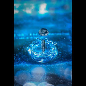 Artist Scott Templeton Splash Down 3” item