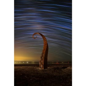 Artist Katrina Brown @RedHeadKatrina Star Trails & Tentacles item