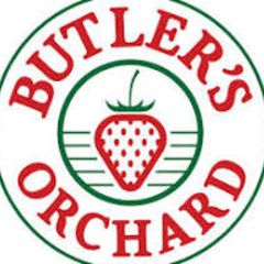 Blueberry Picking for 4 - Butler's Orchard item