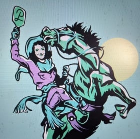 Private pickleball lessons for 4 with a house pro item