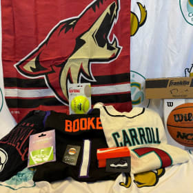 Sports Mania Basket item