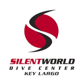 Snorkel Trip for 4 in Key Largo item