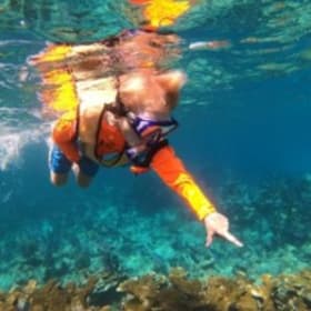 Snorkel Trip for 4 in Key Largo item