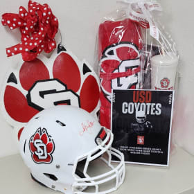 USD Yotes Fan Package item