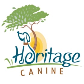 Dog Training Basket and More! item