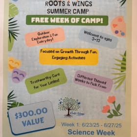 Science Week at Roots & Wings School - $300 value item