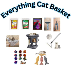 Everything Cat Basket - 5 Chances to Win item