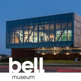 Item 317: Desserts and Dinosaurs item