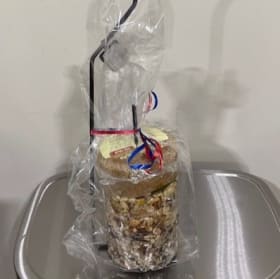 27. Flying Start Food Feeder Combo item