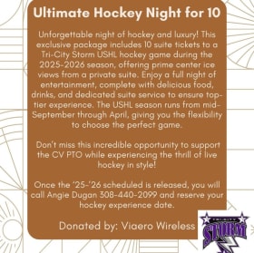 #12 Ultimate Hockey Night for 10 (Package B) item