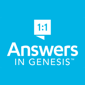 Creation Museum item