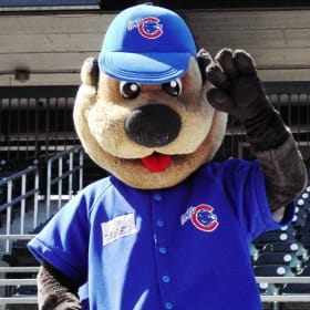 Iowa Cubs item