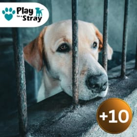 +10 Dog Rescue Tokens item