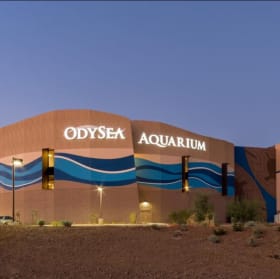 74. Odyssea Aquarium Adult Tickets item