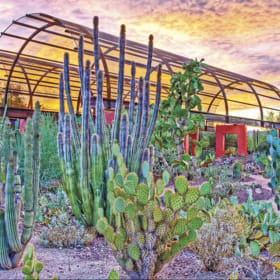 60. Desert Botanical Garden One Time Family Pass item