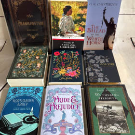 SILENT AUCTION *PRE-VIEW ONLY* item