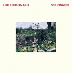 Iowa City Women in Music Vinyl Collection item