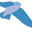Tree Swallow item